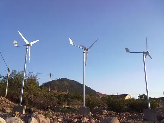 1kw Small Wind Turbine / Wind Power Generator for Home Use (1000W)